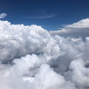 Meet your Posher, Abigail